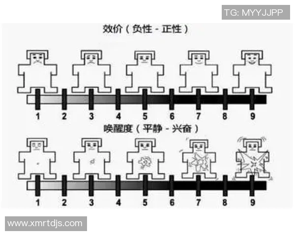 布鲁日与威尔郡的精彩对决赛果揭晓，比赛亮点回顾与分析