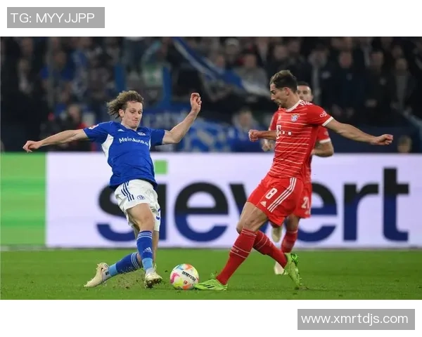 拜仁与汉堡激战乐视直播精彩瞬间回顾与分析